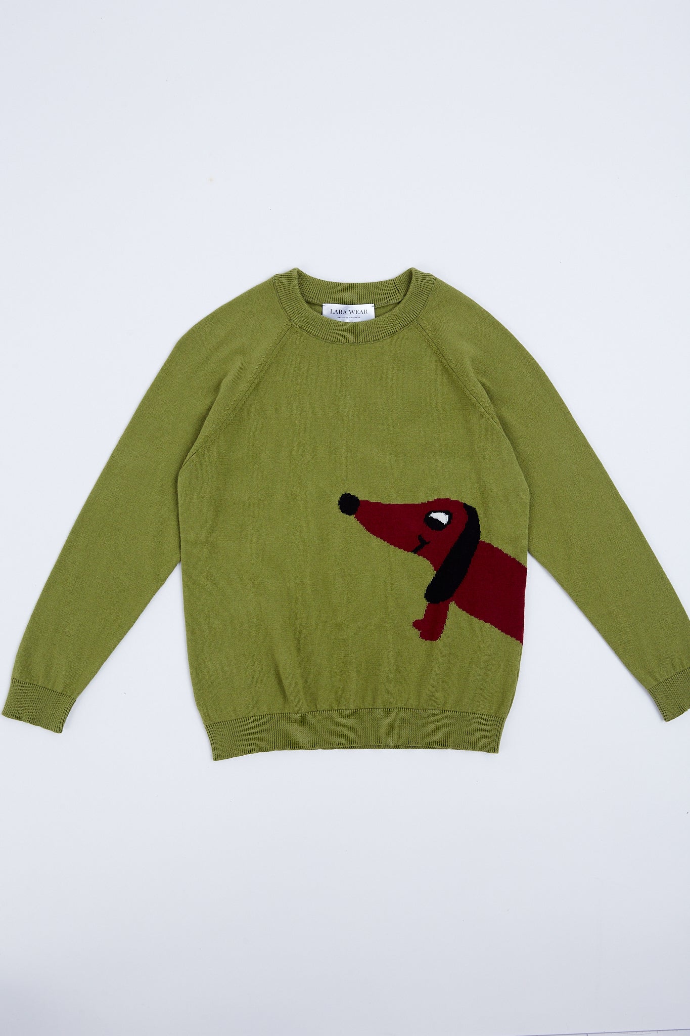 Children's sweater with puppy illustration