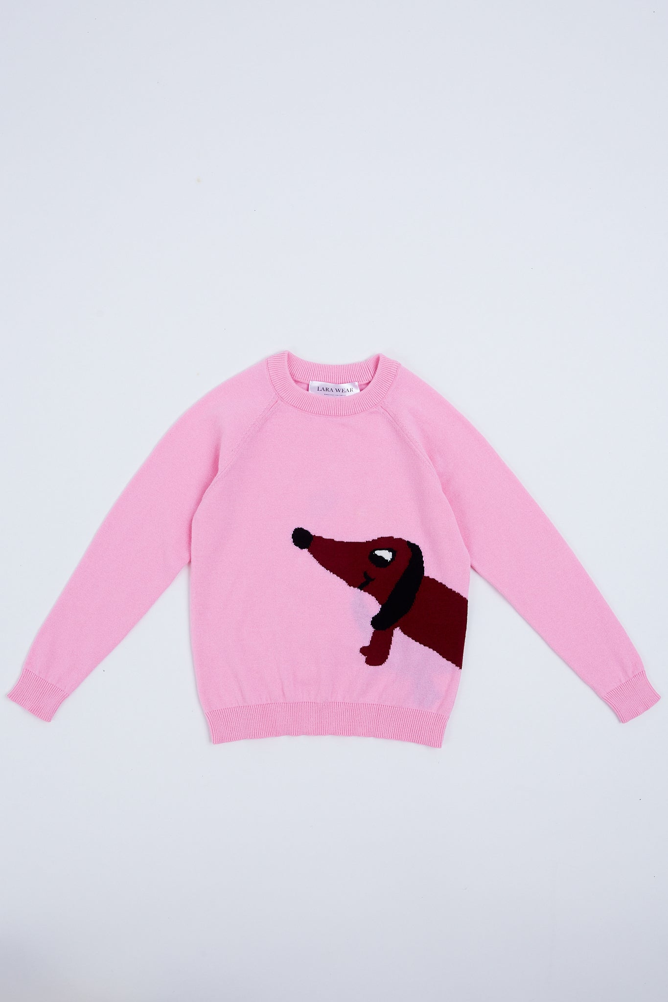 Children's sweater with puppy illustration