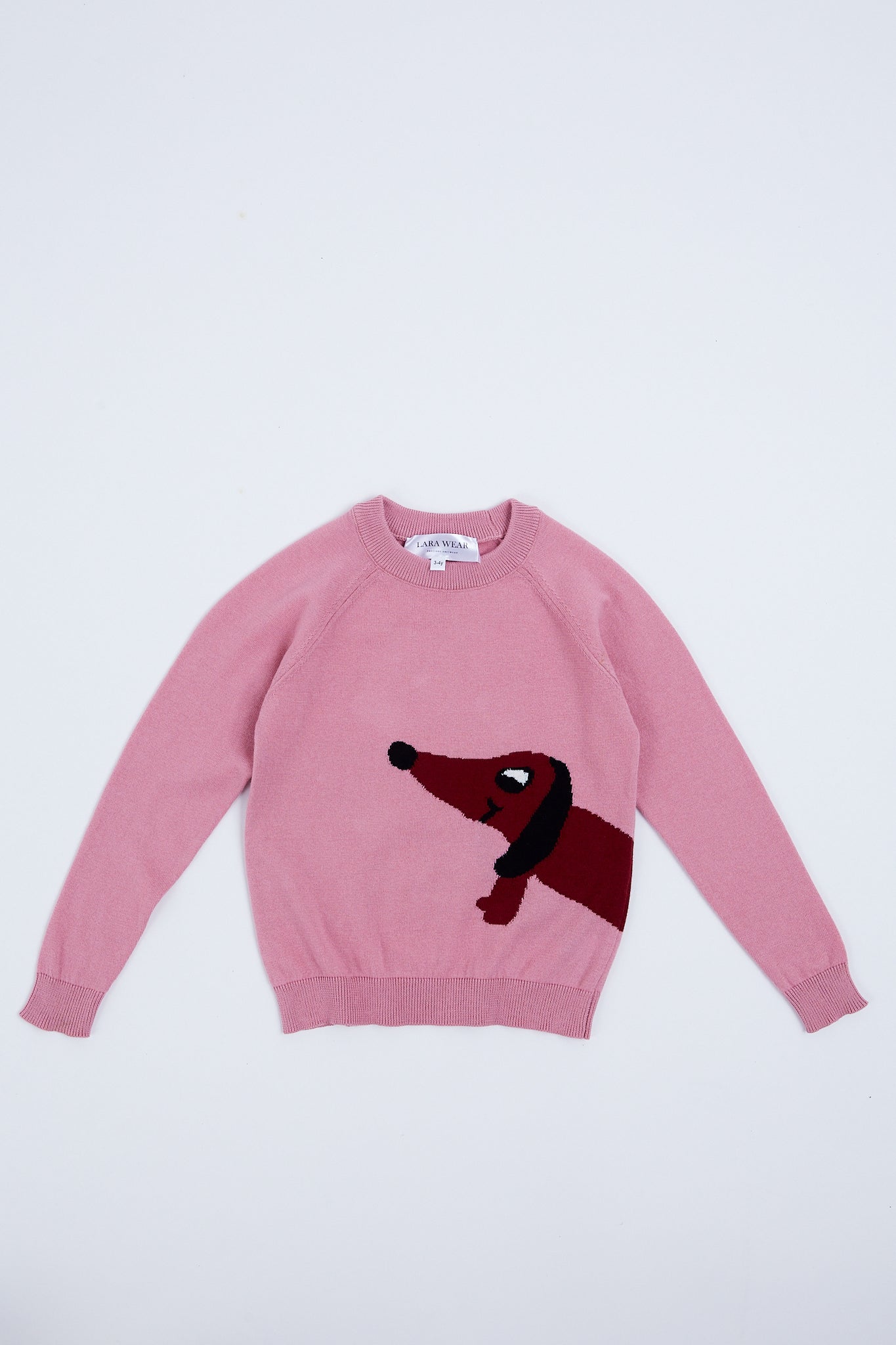 Children's sweater with puppy illustration