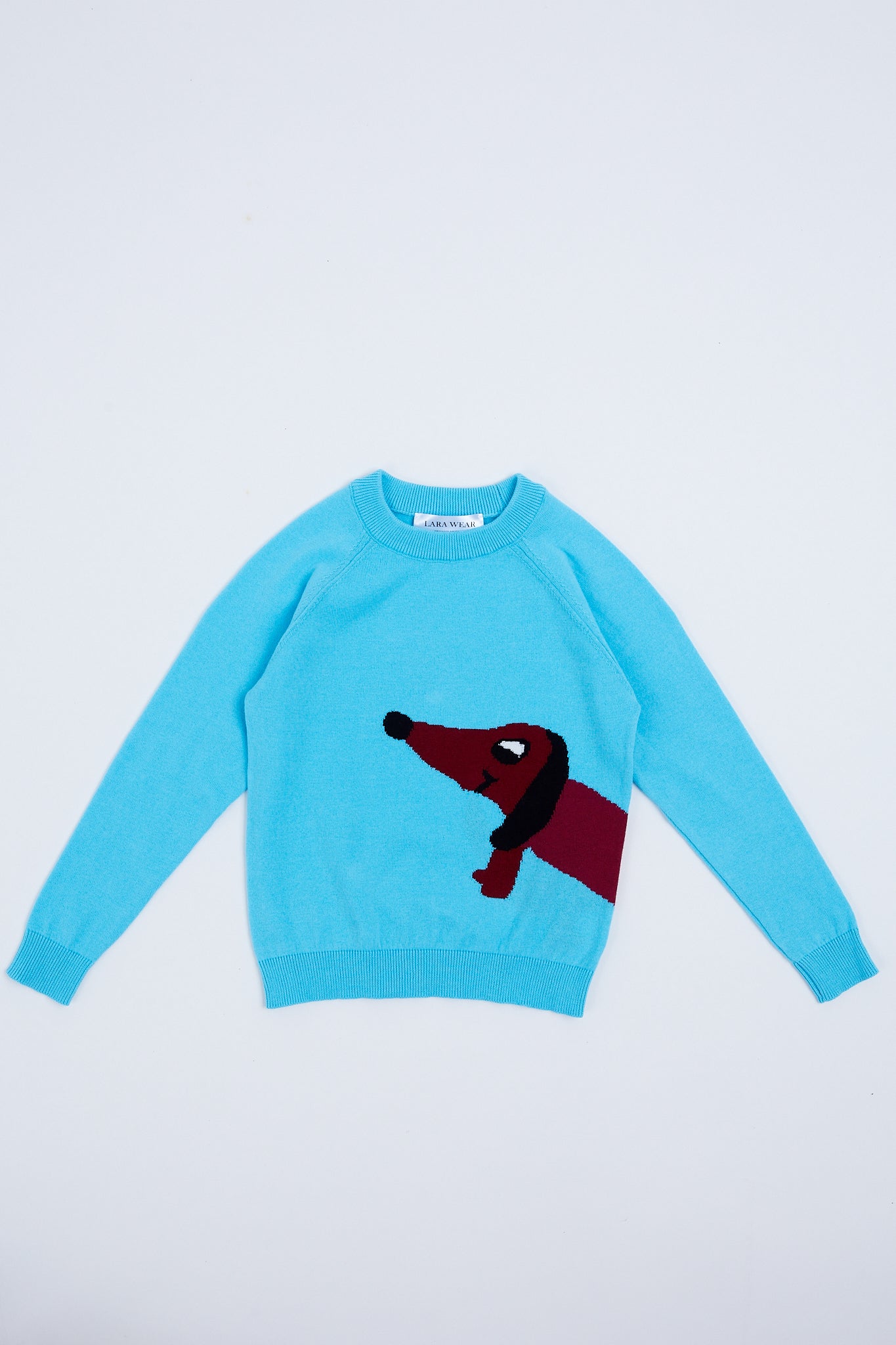 Children's sweater with puppy illustration