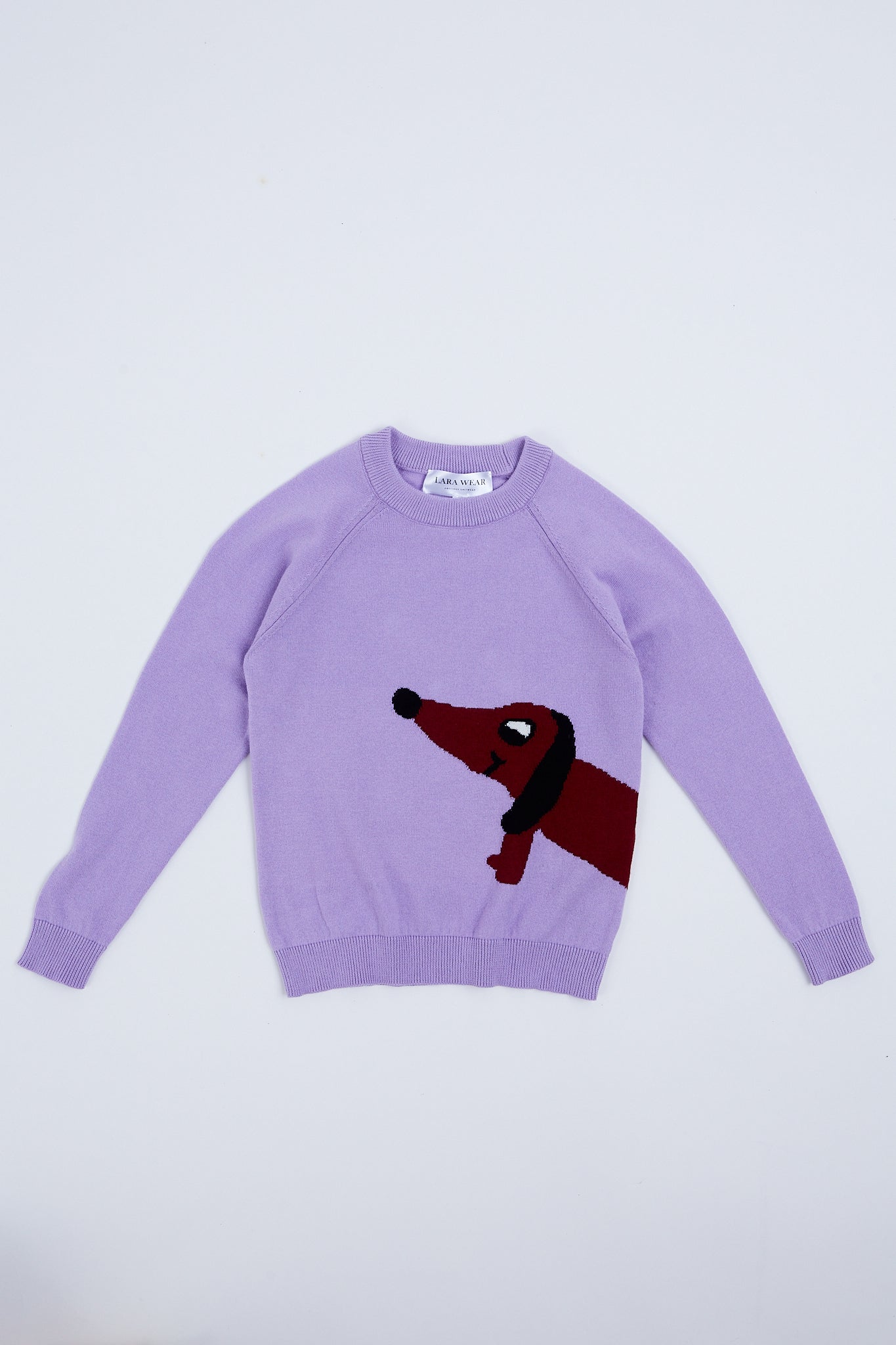 Children's sweater with puppy illustration