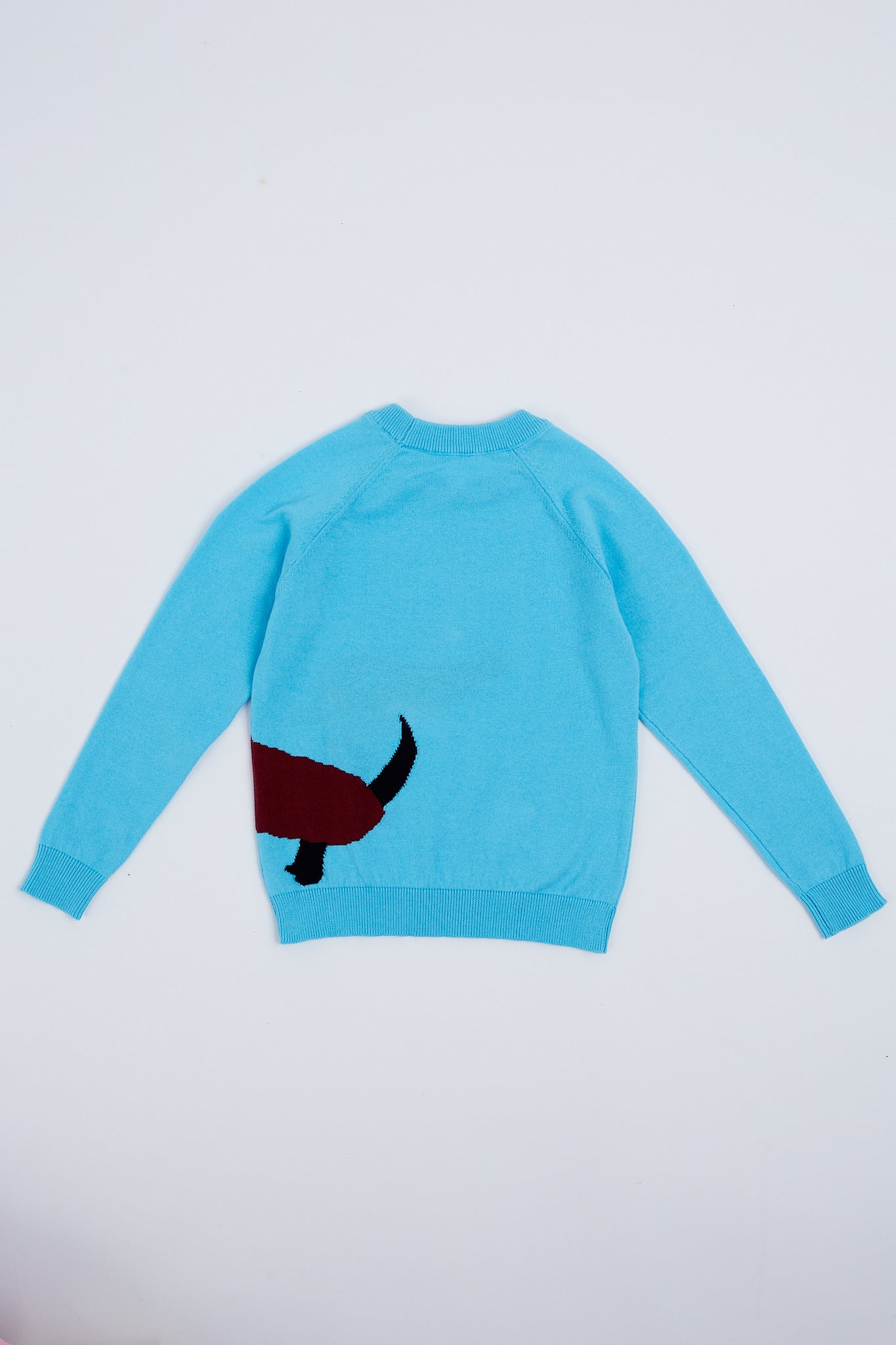 Children's sweater with puppy illustration