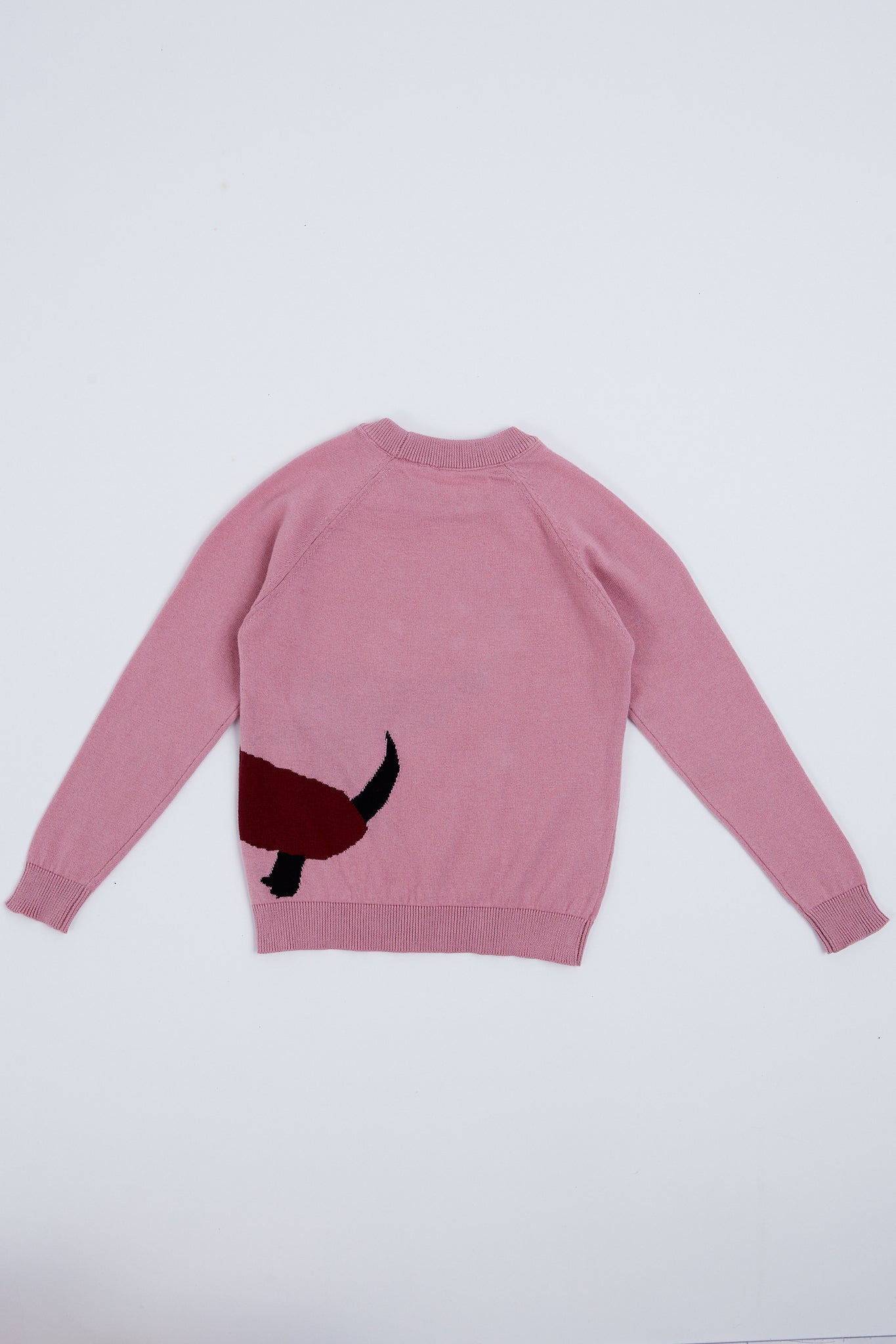 Children's sweater with puppy illustration