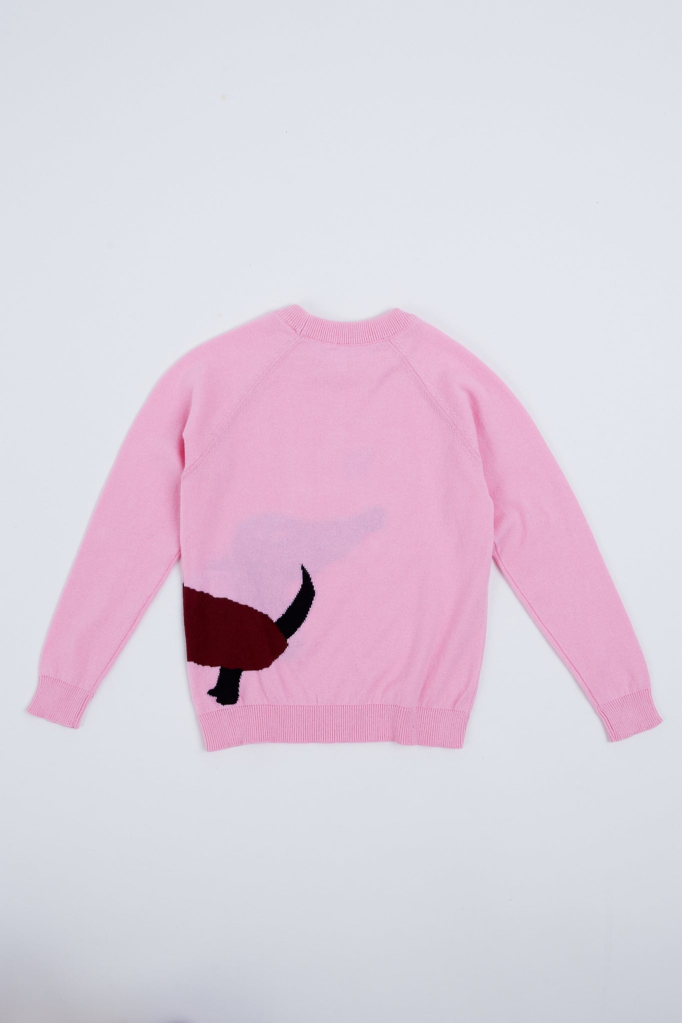 Children's sweater with puppy illustration