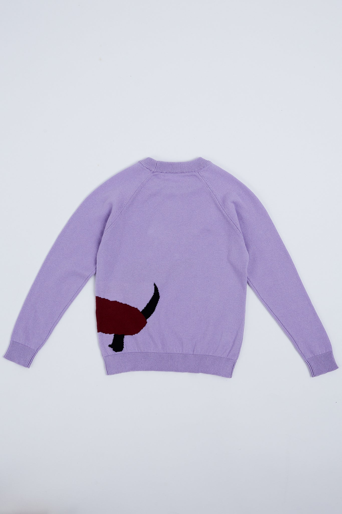 Children's sweater with puppy illustration