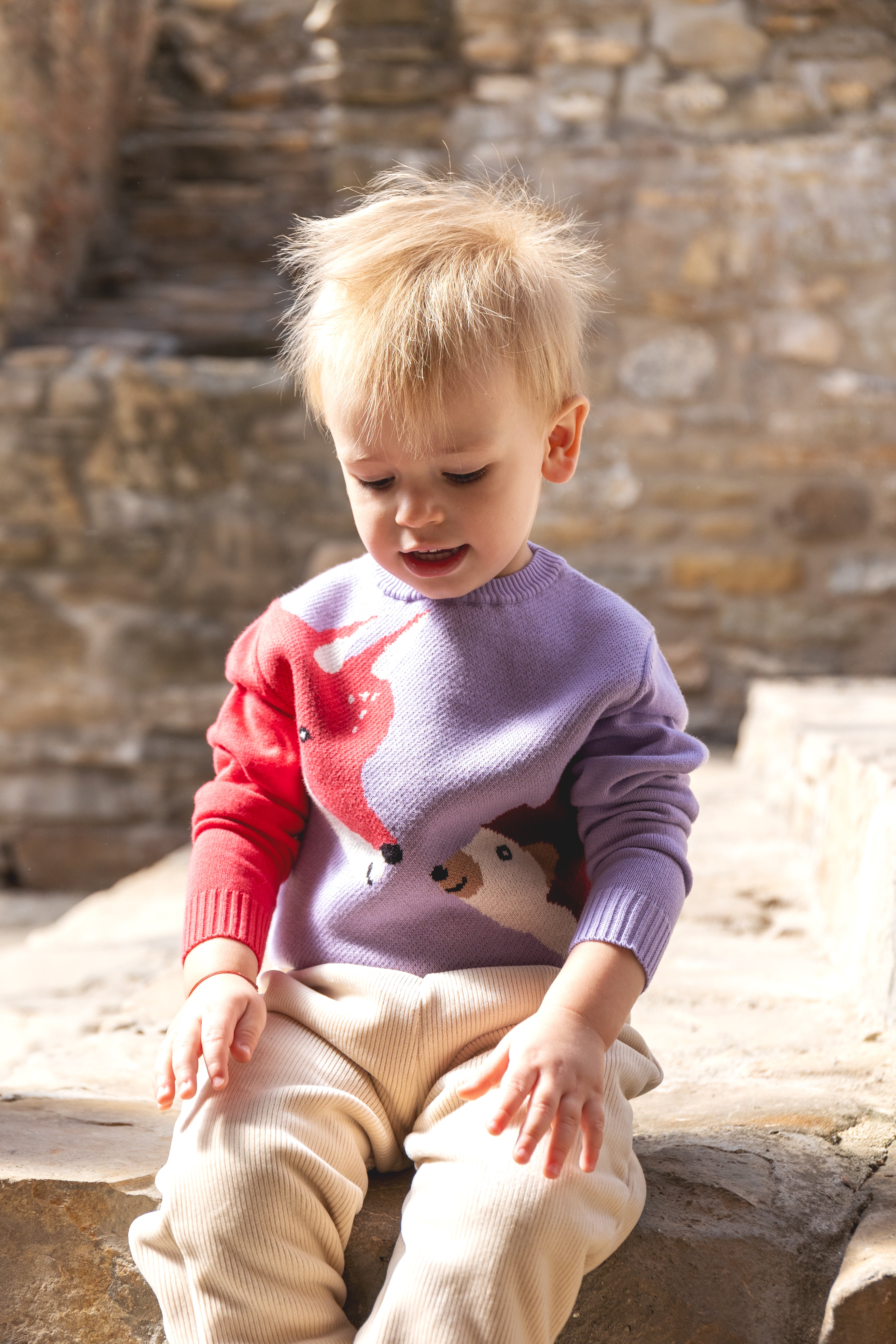 Playful children's sweater with fox and hedgehog