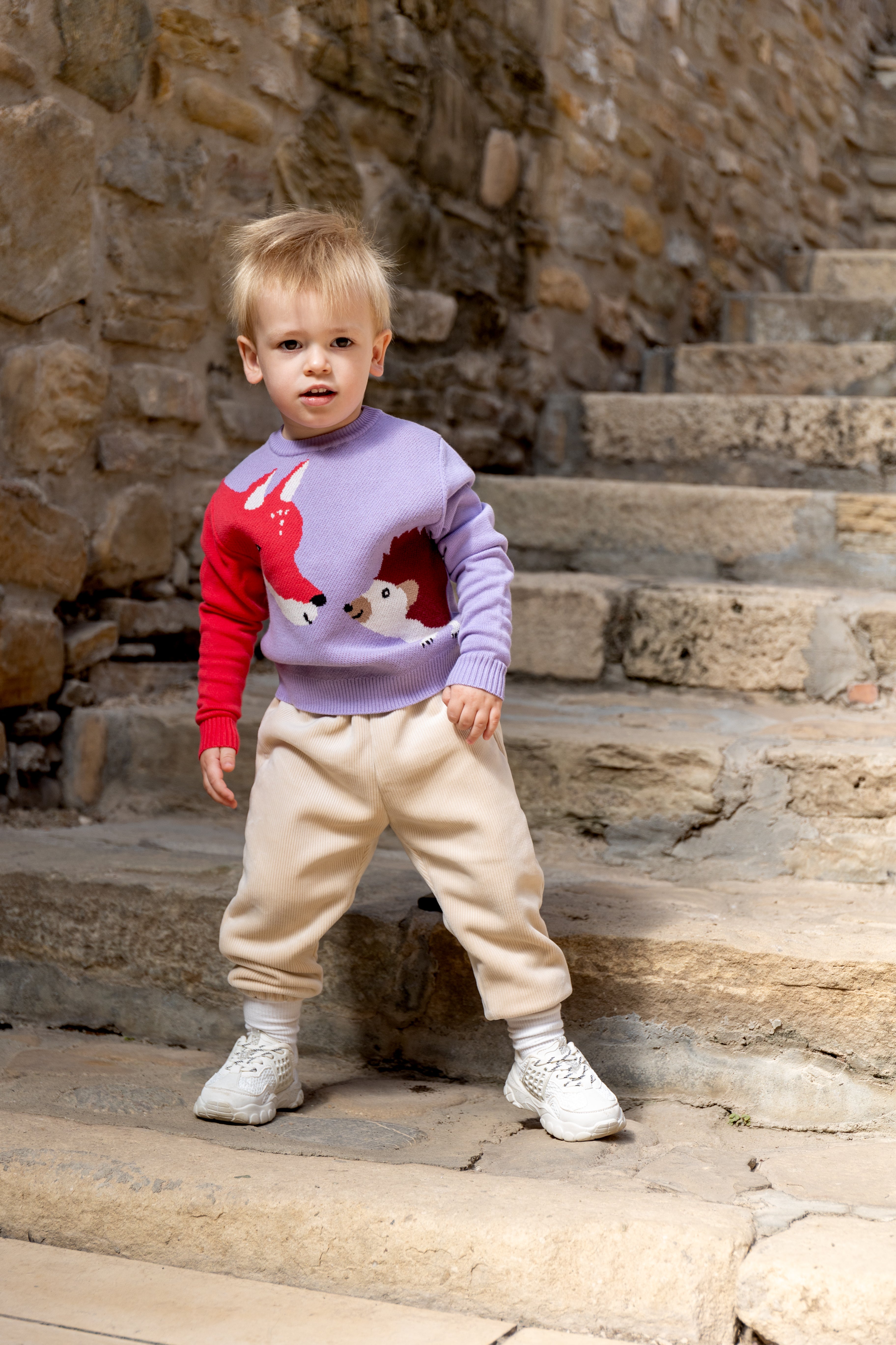 Playful children's sweater with fox and hedgehog