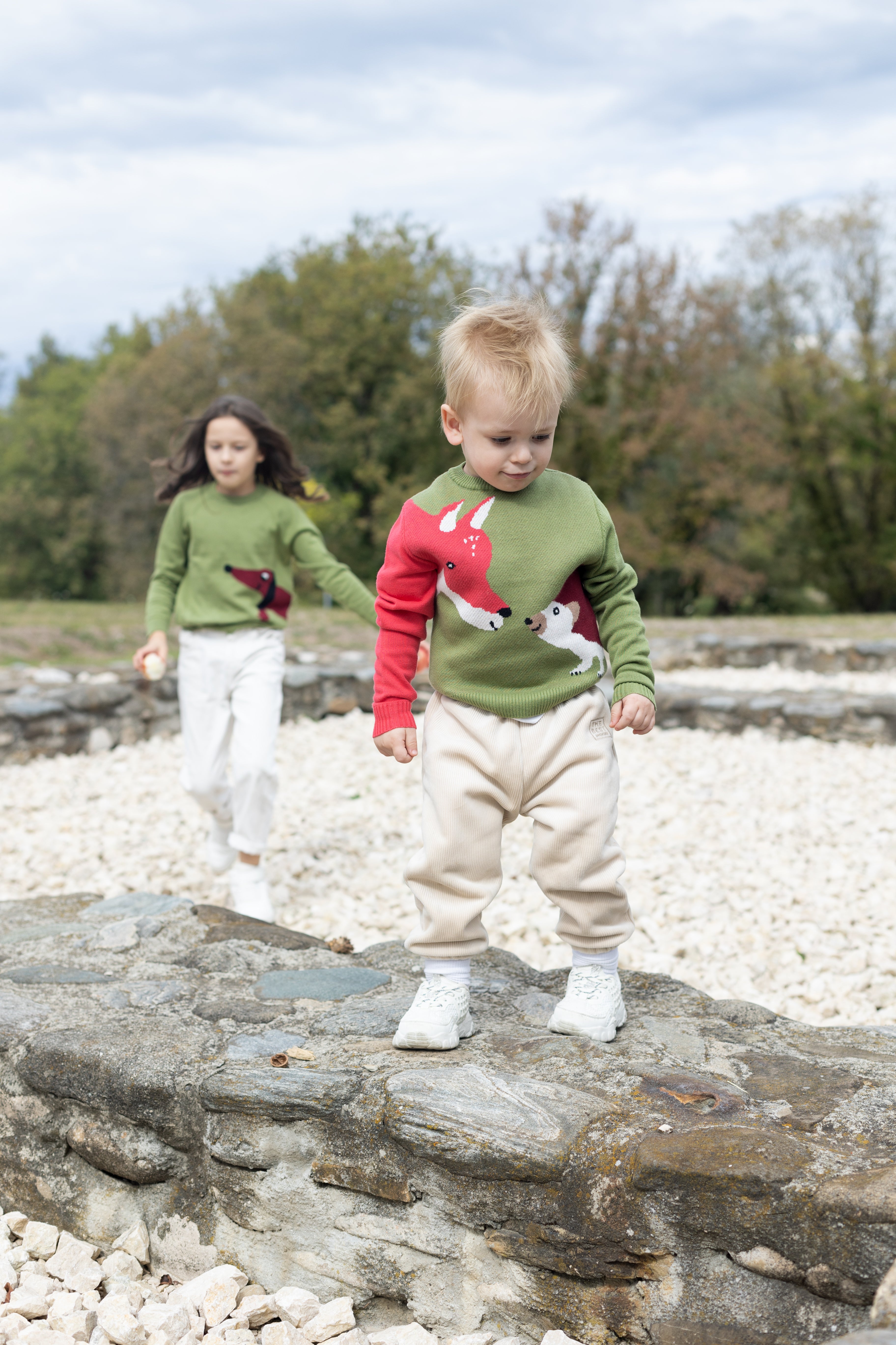 Playful children's sweater with fox and hedgehog