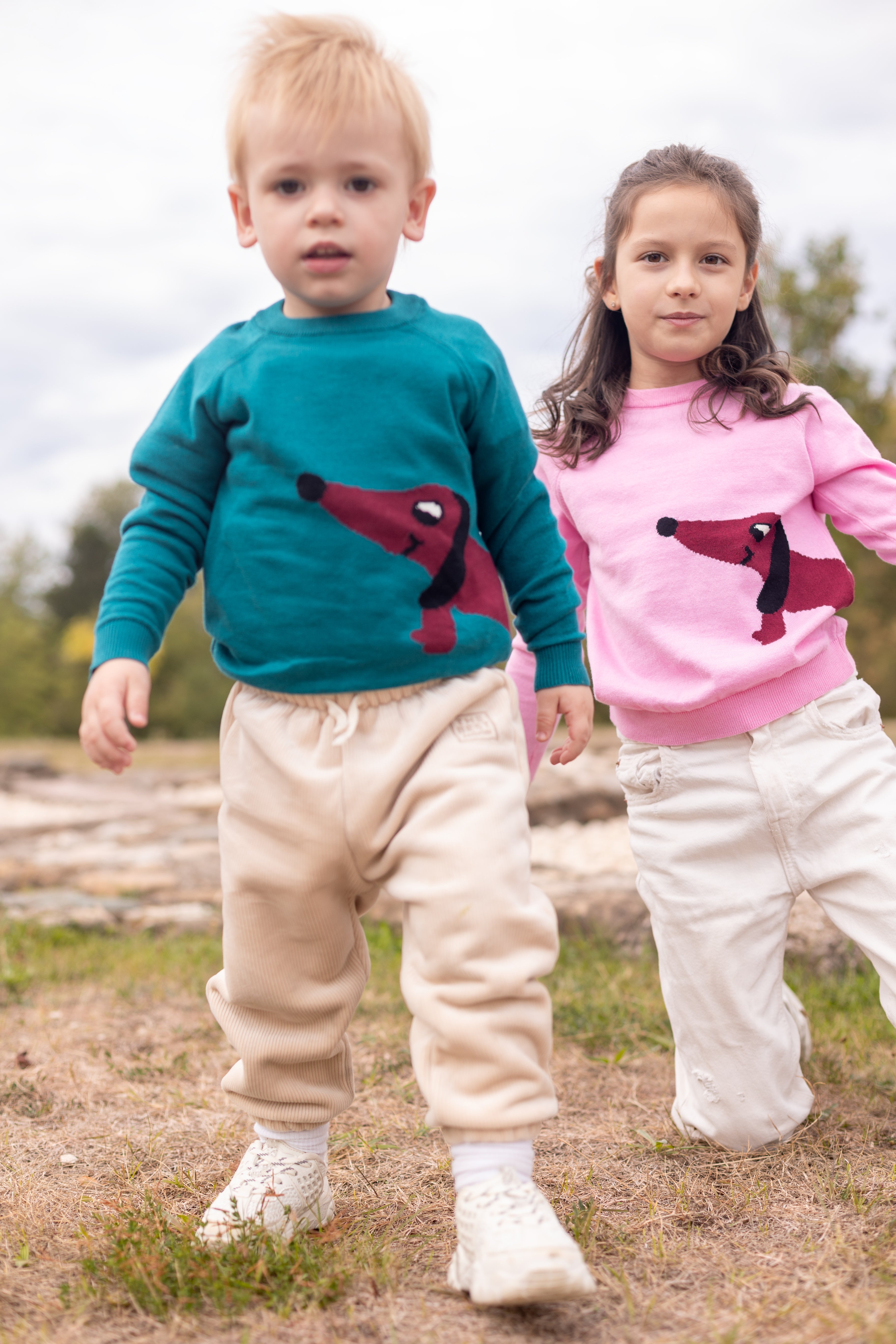 Children's sweater with puppy illustration